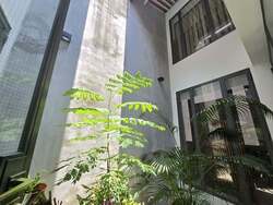 Kim Yam Road (D9), Detached #545077791